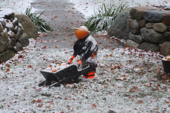 Small scare-crow
            like man with pumpkin head pushing wheelbarrow